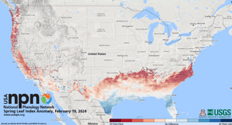 source: USA National Phenology Network, www.usanpn.org - Leaf spring index sample Feb2024