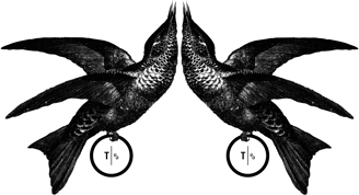 Zwei Vögelchen aus dem THESING2e-Logo sind Schmuckelement