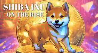shiba inu price pump