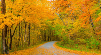 Mejores lugares para ver en otoño en Estados Unidos