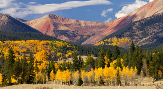 Otoño en Aspen, Coronado