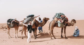 chigaga desert trekking -  Walking with Nomads in  the Moroccan Sahara chigaga desert trekking - trekking in morocco