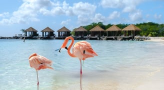 MANCHEBO BEACH ARUBA
