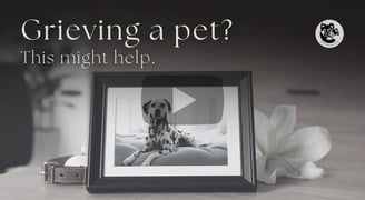 A picture frame of a dog next to a leash, a candle and a flower
