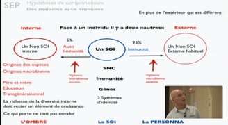auto immunité sep