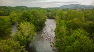 Sycamore Shoals Watauga River Elizabethton TN