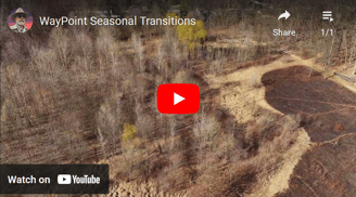 Time-Lapse Effect: Seasonal Transitions