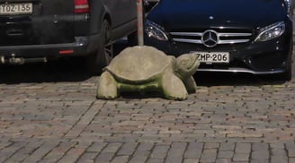 Absperrung in schön - als Schildkröte