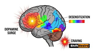 Brain scan illustration showing dopamine activity, anime flat educational style, labeled with dopamine surge, desensitization