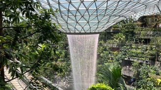 Cascata nell''aeroporto Jewel Changi di Singapore