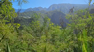 a mountain view of a mountain range with trees and mountains in the background