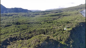 View of la foret de bebour