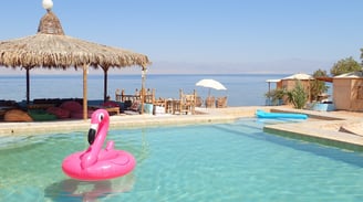 a pink flamingo floating in a pool