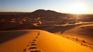 a desert with footprints in the sand