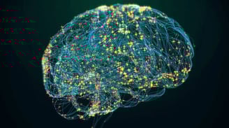 a brain map of a brain scanplant