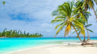 a beach with palm trees and a blue sky