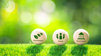 three eggshells with different symbols of environmental protection