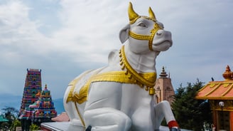 a statue of a cow in a temple