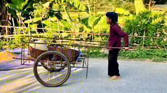 a woman in a purple jacket is pulling a cartonce