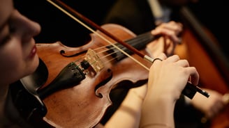 Musician performing