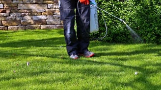 a man is spraying a lawn for weeds