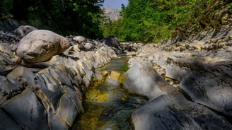 Coin baignade avec toboggans colorés