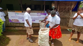 Cassava Seeding Production Training