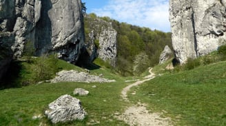 Dolina Bolechowicka