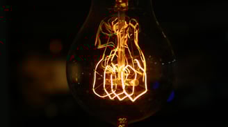 LED grow light bulb