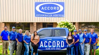 Accord Extermination Montreal Exterminator Team