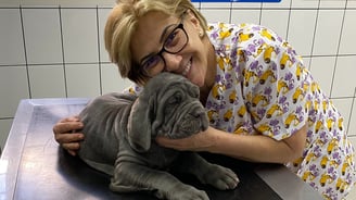 clinica veterinaria em rio preto