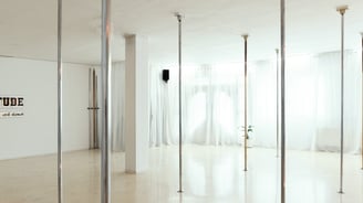 pole dance studio ATTITUDE Voitsberg