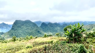 a mountain view of a mountain range with a few trees