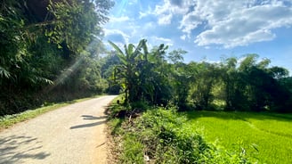 a person riding a bike down a dirt road