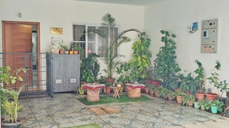 Our plants always the first one to greet you | Dog Homestay Boarding