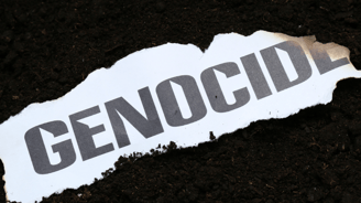 Genocide top 5 crime categories in the world