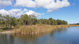 med fiskeflykt sverige gäddfiske i sverige i denna vackra sjö.