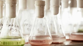 Cosmetique Phytoceane : soins écoresponsables en institut de Lagord, près de La Rochelle