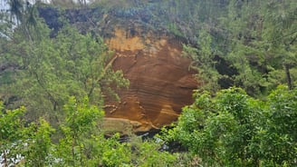 a large rock formation in the middle of a forest
