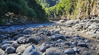 a river with rocks and trees in the background
