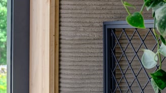 a plant in a window