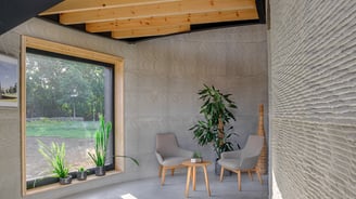 a living room with 2 chairs and a plant