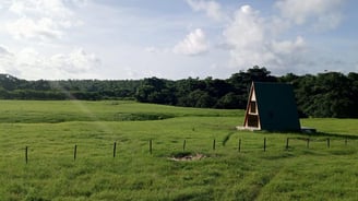 Eco Farm Retreat beauty and harmony medows