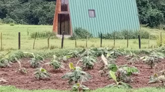 Eco Farm Accomodations at Healing Journey Center