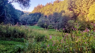 Weiltal im Sommer