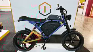Onemile E-bike Maintenance