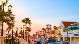 a car driving down a street with palm trees