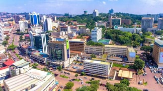 a cityscape of buildings and trees in a city