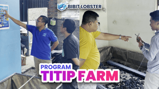 Layout Titip Farm