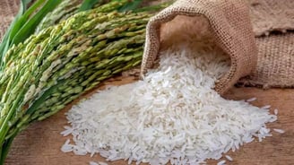 India’s Record Rice Surplus: Boon for Exports, But Storage and Wheat Challenges Loom Synopsis